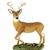Country Artists Deer White Tailed Buck